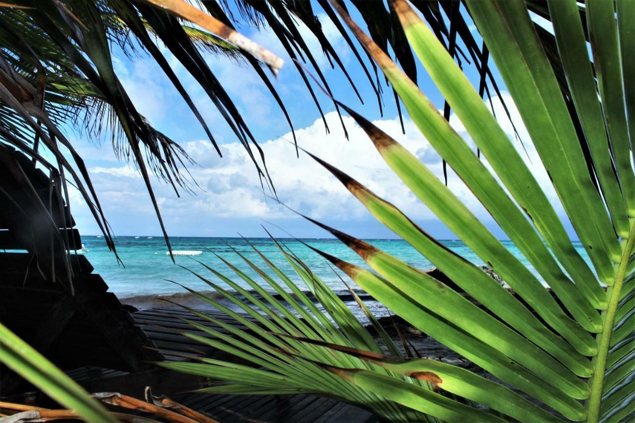 And Petite Île du Maïs